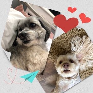 Meet your Posher, Tessa